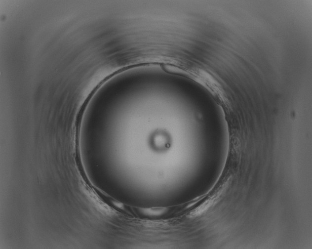 X0000089661140200707121152