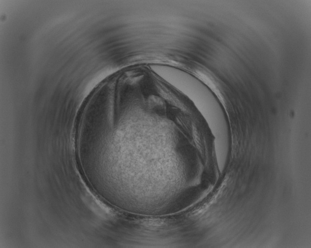 X0000089661141200707121152