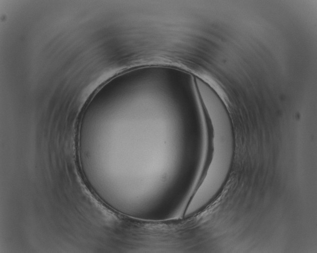 X0000089661142200707121152