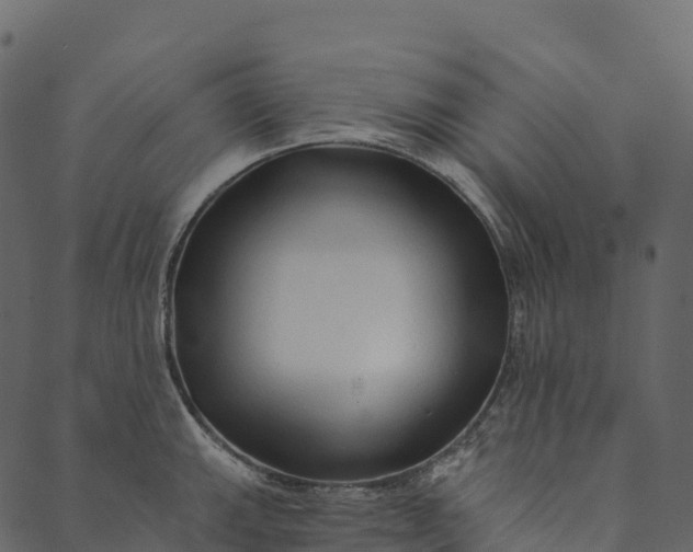 X0000089661143200707121152