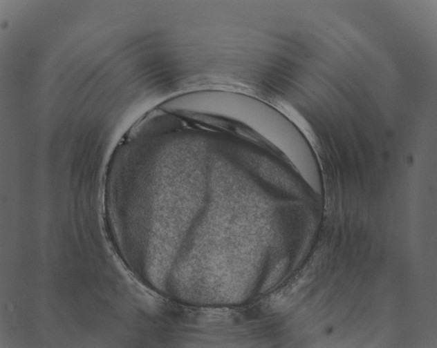 X0000089661144200707121152