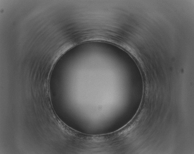 X0000089661145200707121152