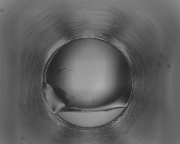 X0000089661146200707121152