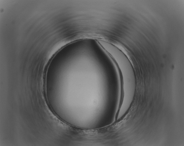 X0000089661147200707121152