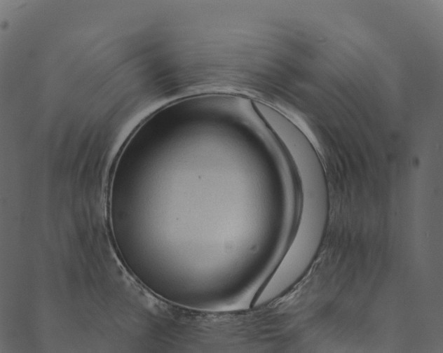 X0000089661148200707121152