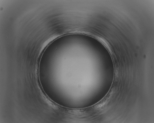 X0000089661149200707121152