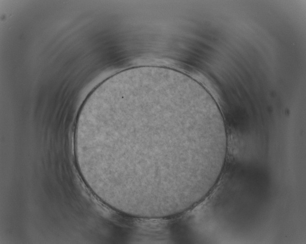 X0000089661150200707121152