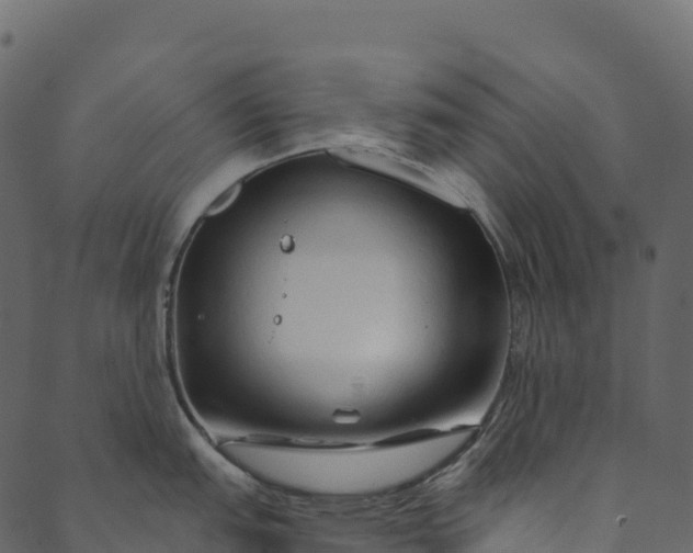 X0000089661151200707121152