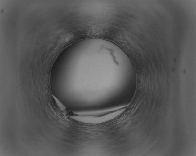 X0000089661153200707121152