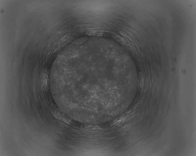 X0000089661154200707121152