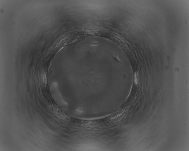 X0000089661155200707121152