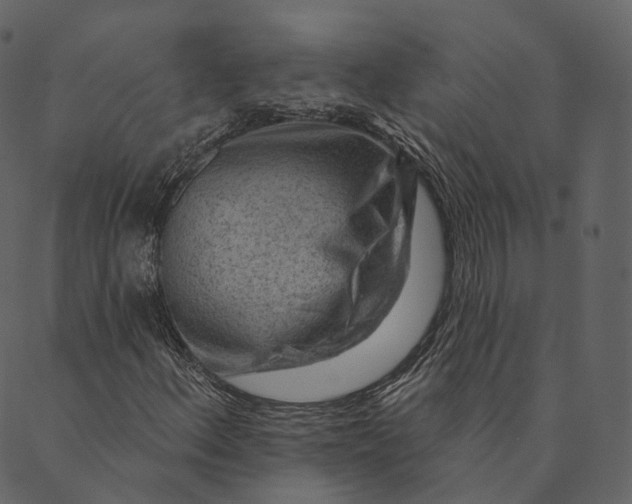 X0000089661156200707121152