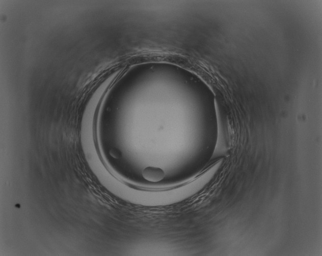 X0000089661157200707121152