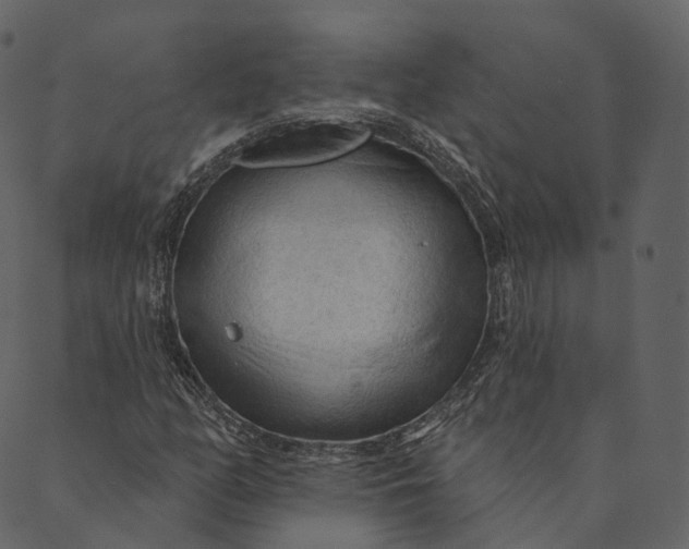 X0000089661158200707121152