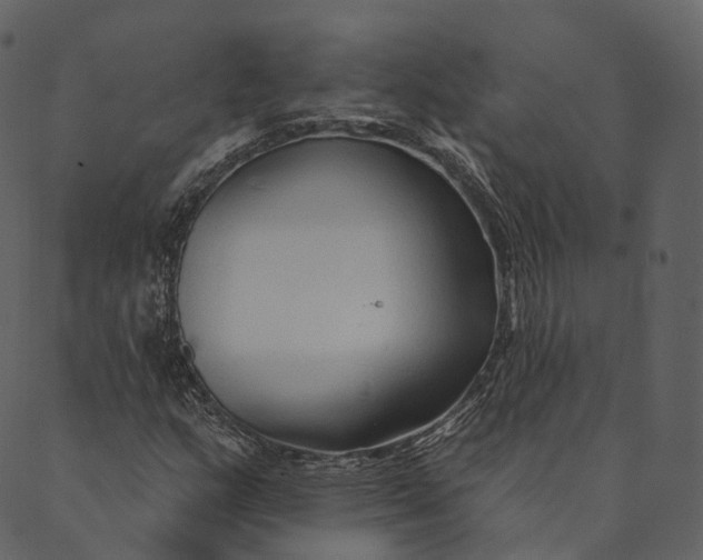 X0000089661159200707121151