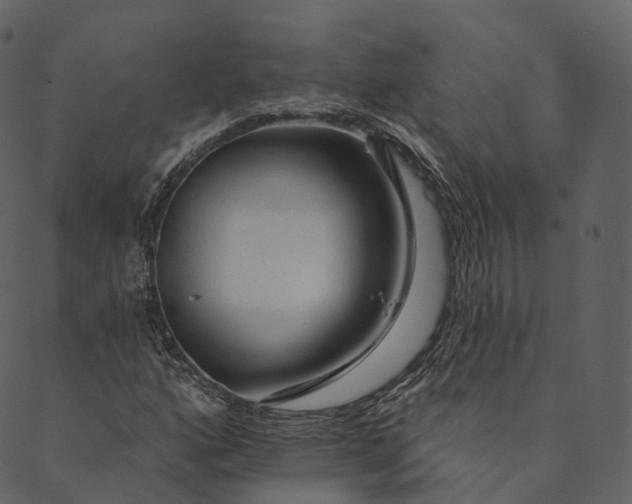 X0000089661160200707121151