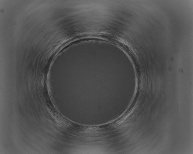 X0000089661161200707121151