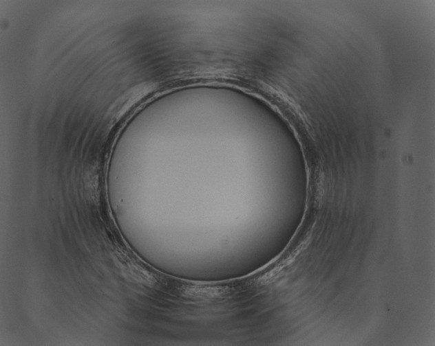 X0000089661162200707121151