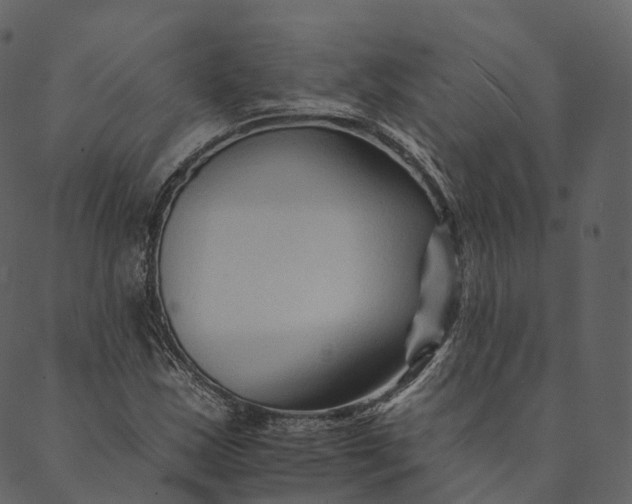 X0000089661163200707121151