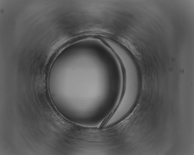 X0000089661164200707121151