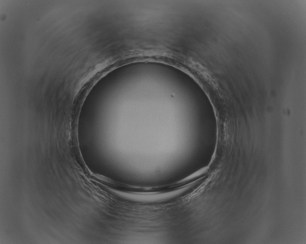 X0000089661165200707121151