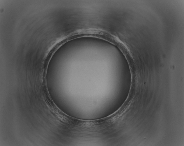 X0000089661166200707121151