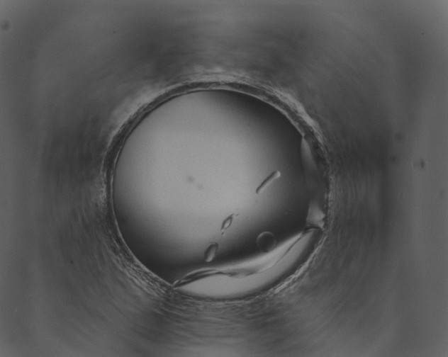 X0000089661167200707121151