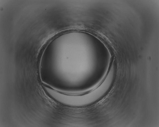 X0000089661168200707121151