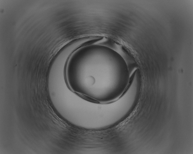 X0000089661169200707121151