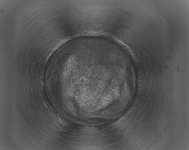 X0000089661170200707121151