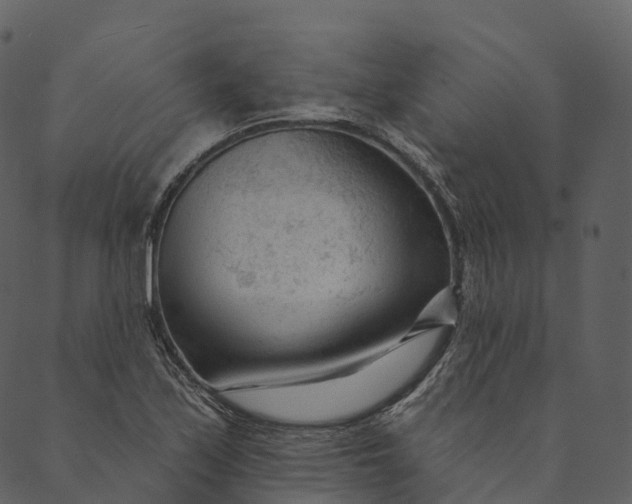 X0000089661171200707121151