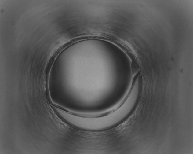 X0000089661172200707121151