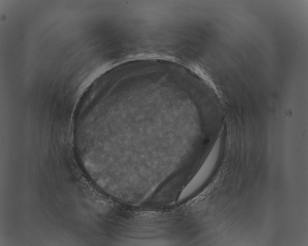 X0000089661173200707121151