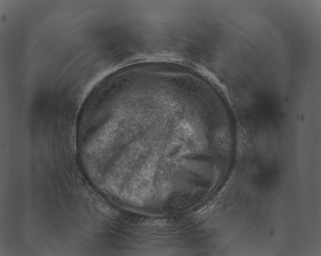 X0000089661174200707121151