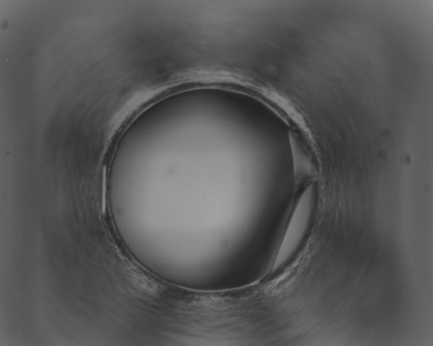 X0000089661175200707121151