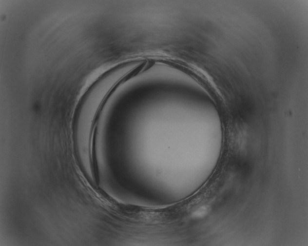 X0000089661176200707121151