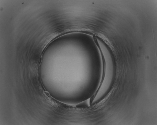 X0000089661177200707121151