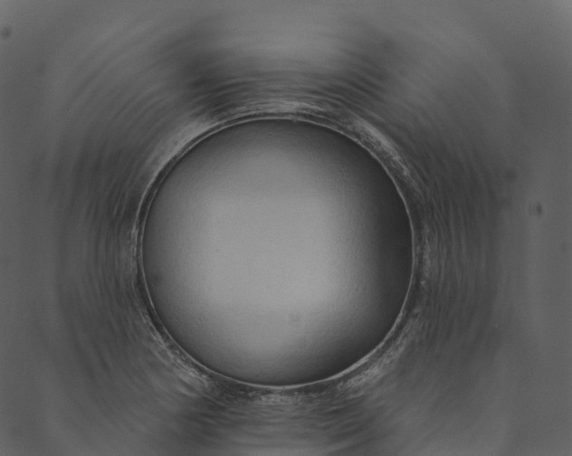 X0000089661178200707121151