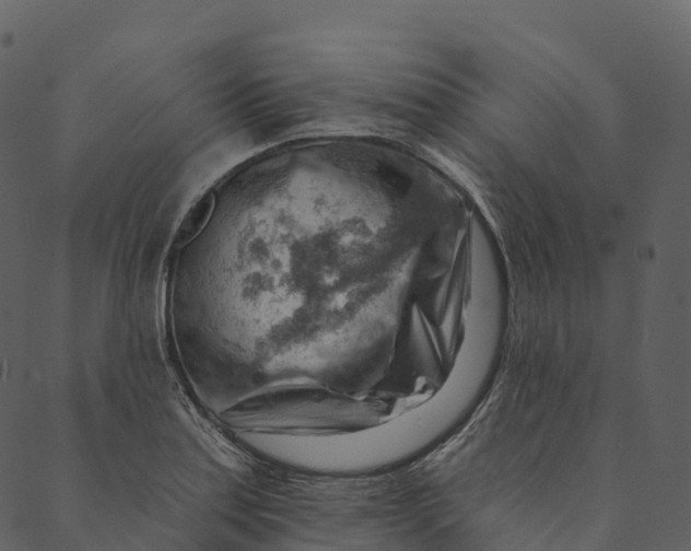 X0000089661179200707121151