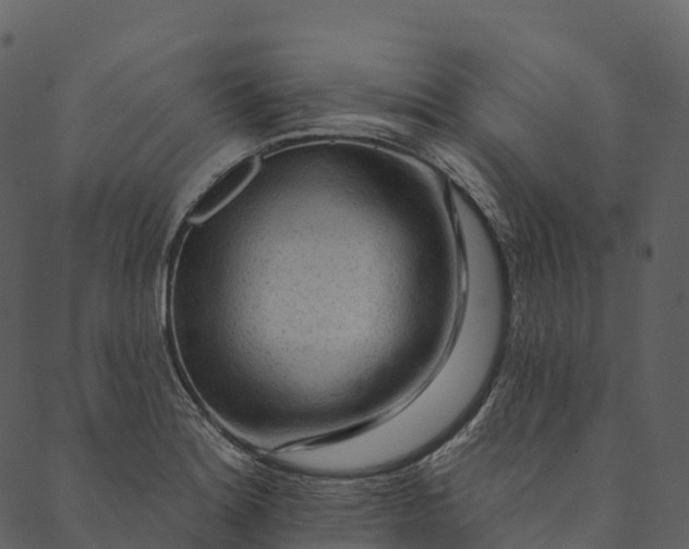 X0000089661180200707121151