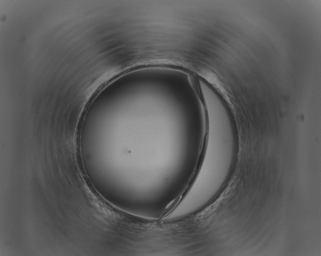 X0000089661181200707121151