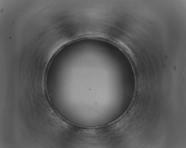 X0000089661182200707121151