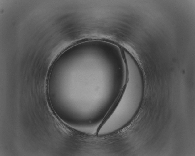 X0000089661183200707121151