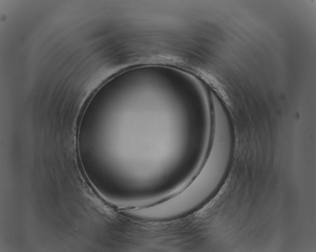 X0000089661184200707121151