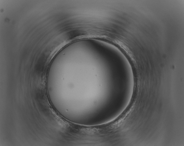 X0000089661185200707121151