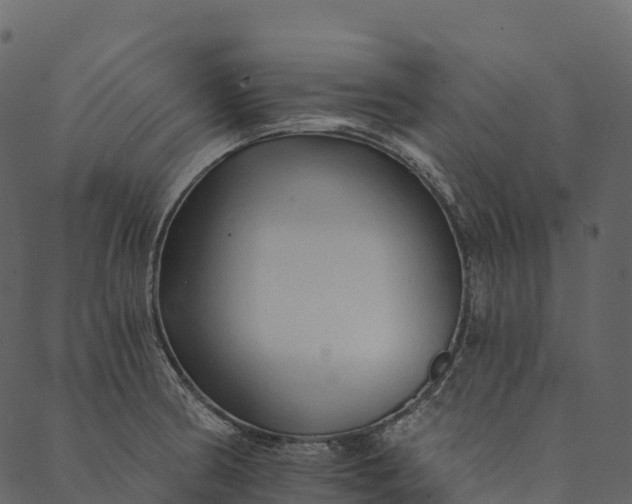 X0000089661186200707121151