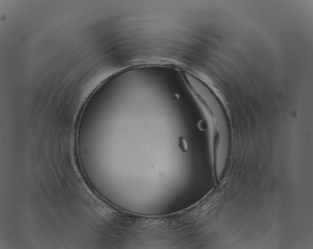 X0000089661187200707121151