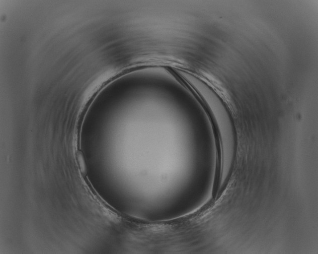 X0000089661188200707121151