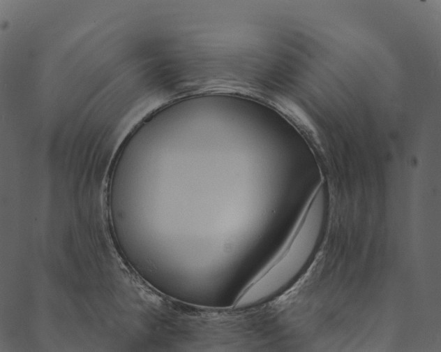 X0000089661190200707121151