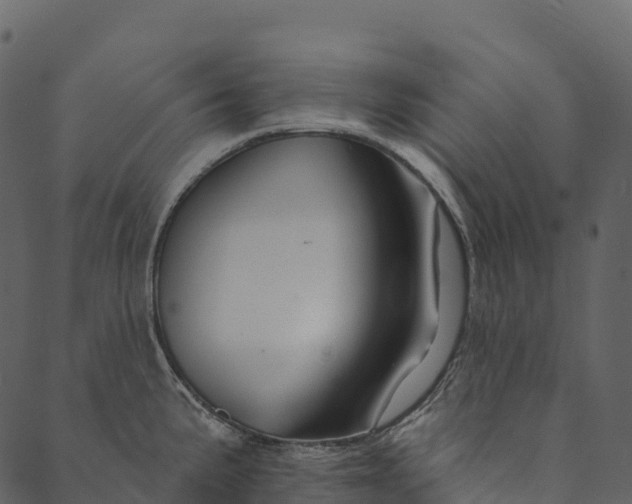 X0000089661191200707121151